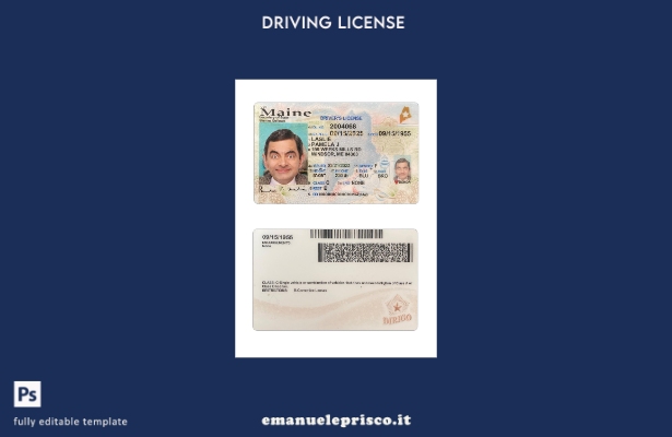 verified style modello presente patente di guida USA Maine stile verificato template